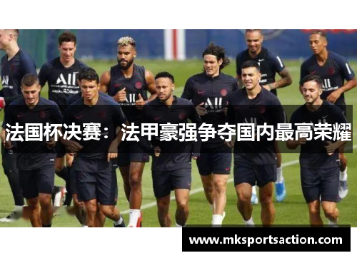 法国杯决赛：法甲豪强争夺国内最高荣耀