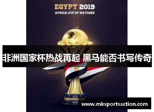 非洲国家杯热战再起 黑马能否书写传奇