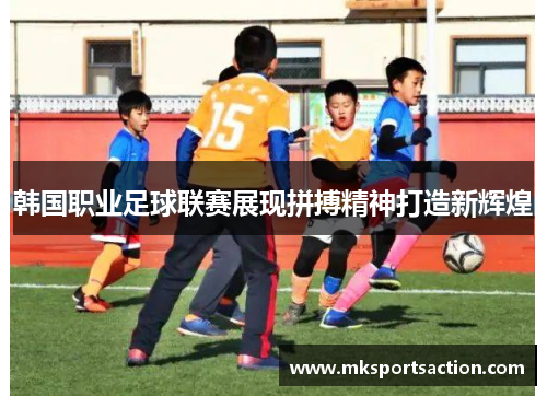韩国职业足球联赛展现拼搏精神打造新辉煌