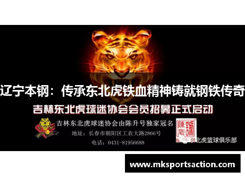 辽宁本钢：传承东北虎铁血精神铸就钢铁传奇
