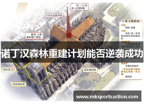 诺丁汉森林重建计划能否逆袭成功